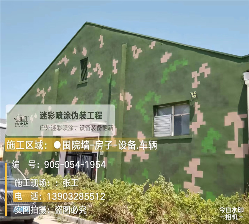 河池外墙数码迷彩漆施工报价清单（100㎡标准墙面测算）